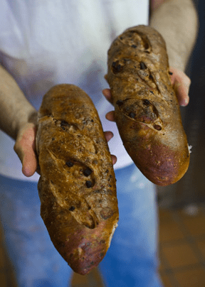 Screen Shot 2016-12-07 at 4.44.26 PM.png